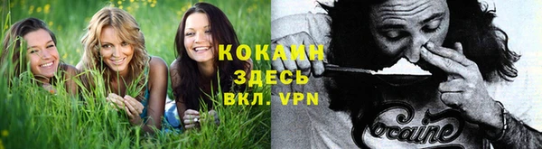 экстази Алексин