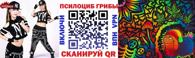 Псилоцибиновые грибы Psilocybe  закладки  Усть-Илимск 