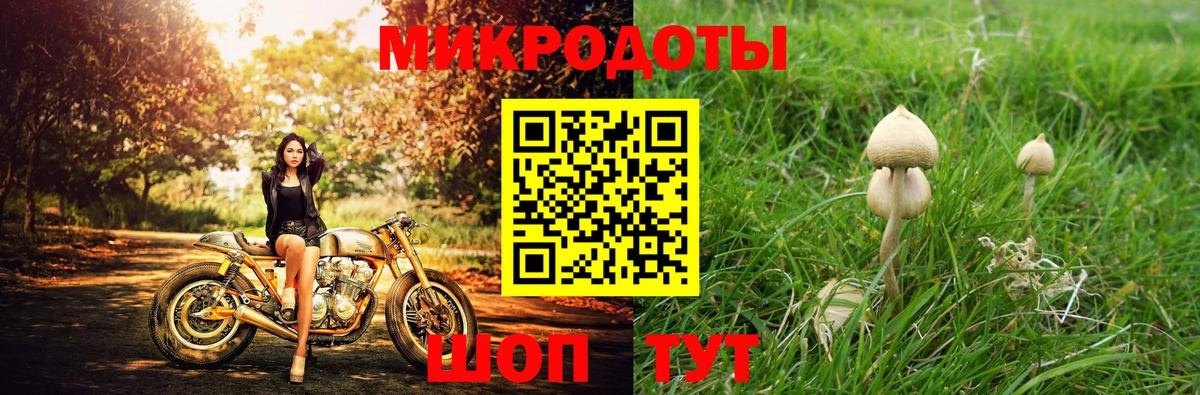 Псилоцибиновые грибы Psilocybine cubensis  Вход с VPN  Усть-Илимск 