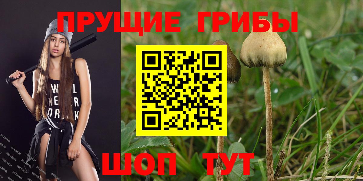Псилоцибиновые грибы мицелий Усть-Илимск