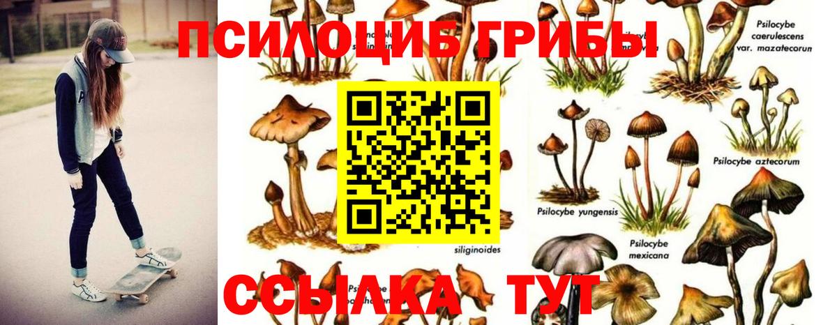 Псилоцибиновые грибы мухоморы Усть-Илимск